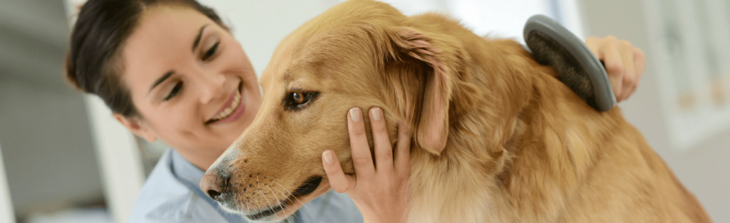 Easy way to get grooming services for your pet