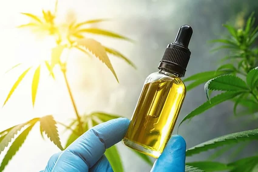 How CBD Oil Helps You Relieve Pain